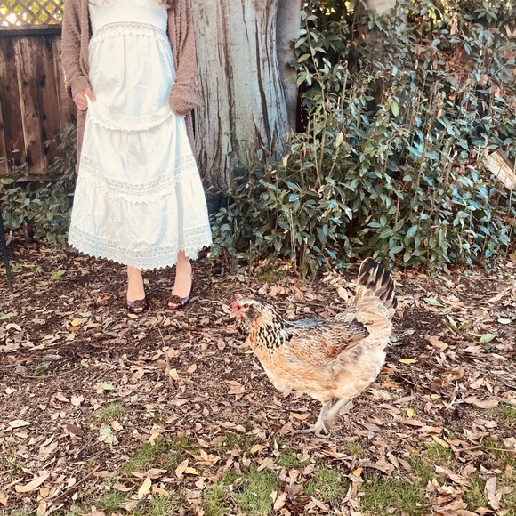Beautiful White laced Tierd Cottage Maxi Dress - Picture 2 of 11